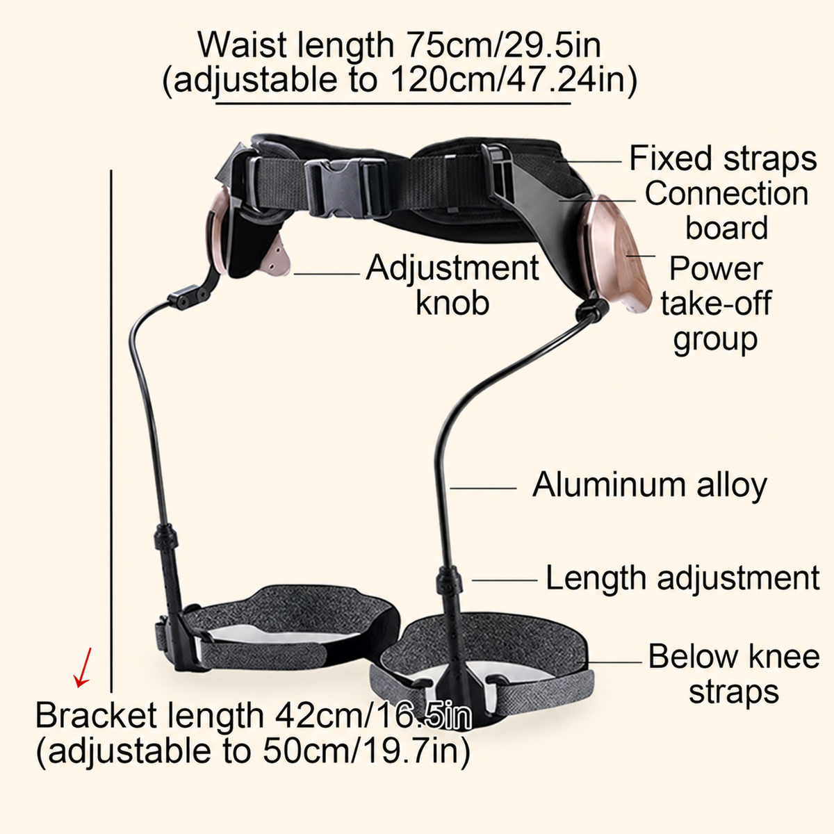 StrideLift waist belt and support length adjustment dimensions